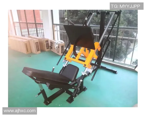 高性价比健身器材品牌推荐助你高效塑造理想身材